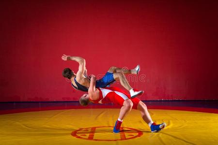 摔跤选手图片