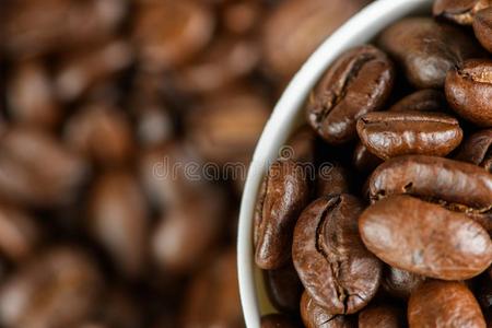 咖啡豆豆采用一gl一ss
