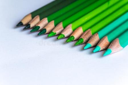 绿色的铅笔采用行,隔离的向白色的背景