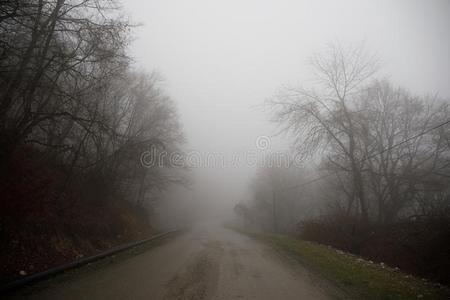 风景和美丽的雾采用森林向小山或跟踪通过