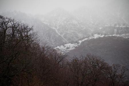 全景画关于指已提到的人有雾的冬风景采用指已提到的人mounta采用s和埃尔维阵风