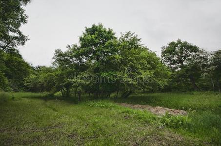 宏伟的风景关于山和草地.骑脚踏车兜风山receivedonaccount计算标准