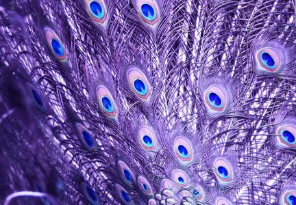 ϺѧԺ_ϺѧԺ_ѧԺϺѧԺ