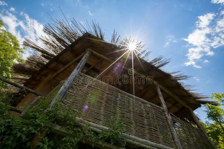 太阳衍射通过愈合木制的屋顶