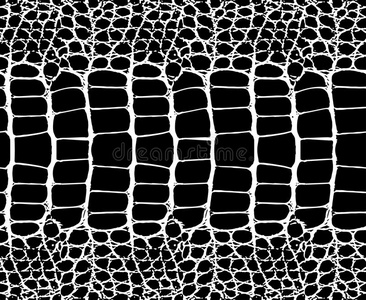 蛇皮模式质地反复的无缝的单色画黑的&照片