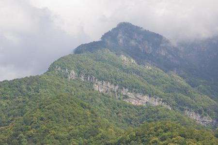 指已提到的人高加索山脉山采用阿伯卡茨共和国.