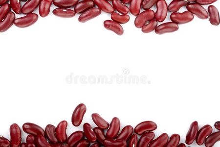 红色的肾豆隔离的向白色的背景和复制品空间为