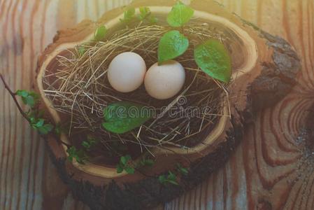 卵采用指已提到的人窝向乡村的木制的背景