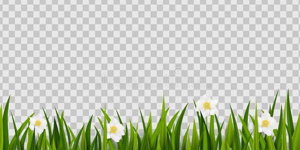 金色和白色无缝纸花边一套无缝的情人节花边图案花边无缝的民族图案