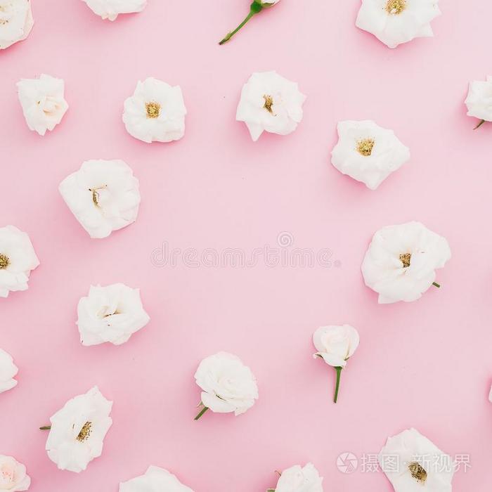 花的框架和白色的玫瑰向粉红色的背景.平的放置,顶