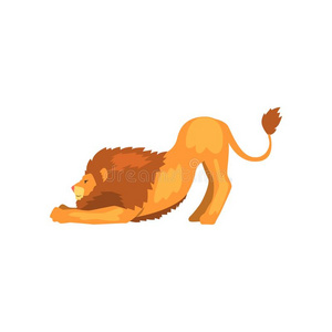 强大的狮子伸,野生的掠夺成性的动物矢量illustrat