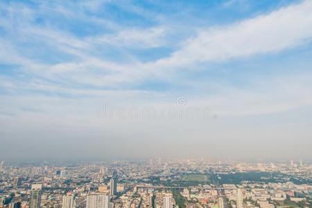 扇形棕榈细纤维城市地平线