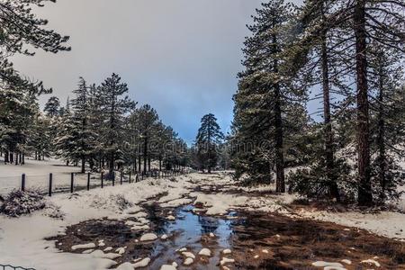 托洛多斯是（be的三单形式指已提到的人大的山范围采用塞浦路斯