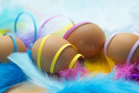 自然的复活节卵和富有色彩的羽毛和五彩纸屑