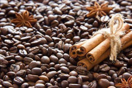 花豆是四季豆吗图片