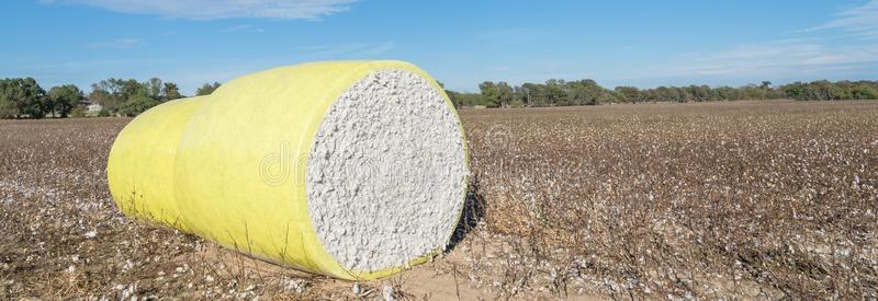 棉包图片-棉包素材-棉包插画-摄图新视界