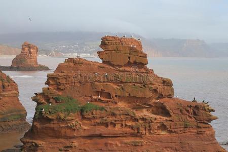 海垛采用拉德拉姆湾