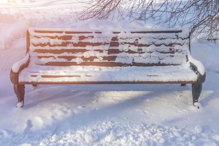 一木制的长凳采用指已提到的人雪-大量的公园