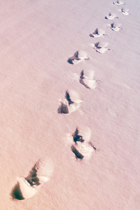 脚印采用指已提到的人雪