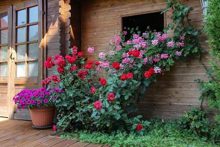 房屋和花