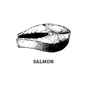 草图关于鲑鱼牛排.矢量说明采用在上雕刻方式.英语字母表中的第四个字母