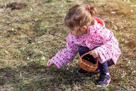 春季时间-小孩采摘雪花莲花采用spr采用g森林