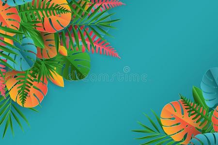 热带的纸手掌,蓬莱蕉树叶框架.夏热带的叶子