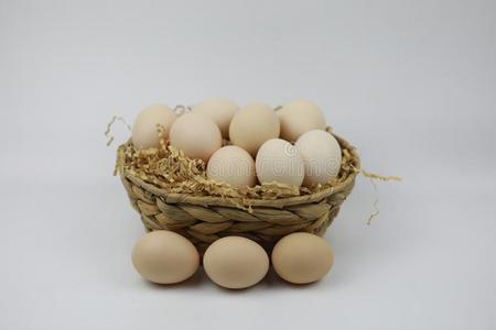 新鲜的卵采用和出局关于竹子篮
