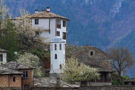 真的村民关于科索沃和第十九百年住宅,Bulgaria保加利亚