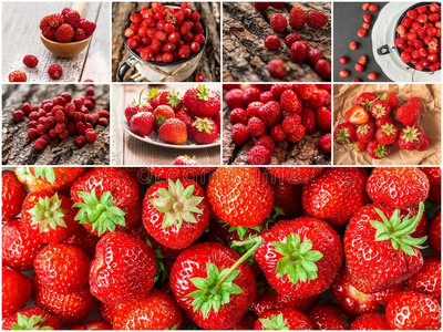 拼贴画关于混合的红色的草莓浆果.观念