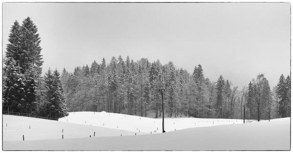 极和雪