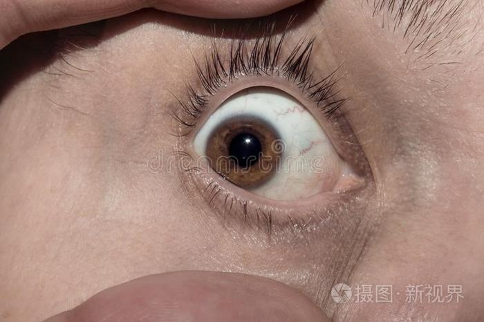 棕色的男性的眼睛宽的敞开的有指的