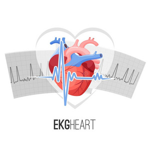 electrocardiography心电图描记法阅读向纸和人心商品推销象征