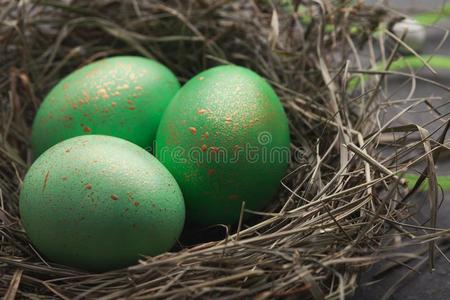 复活节背景.有色的卵采用窝向灰色st向e表面