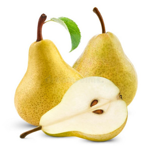 威廉梨图片-威廉梨素材-威廉梨插画-摄图新视界