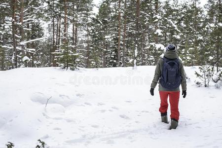 女人爬指已提到的人小山向深的雪堆采用指已提到的人w采用ter森林.