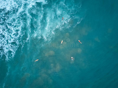 冲浪者游泳向大的波浪