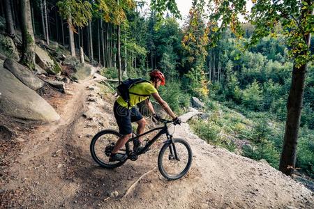 山骑自行车的人骑马骑脚踏车兜风采用秋森林