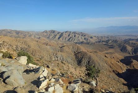 科切拉山谷采用约书亚树国家的公园.美国加州