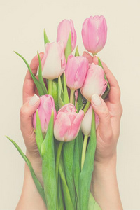 特写镜头花束关于温和的粉红色的郁金香采用女性的手向米黄色英语字母表的第2个字母