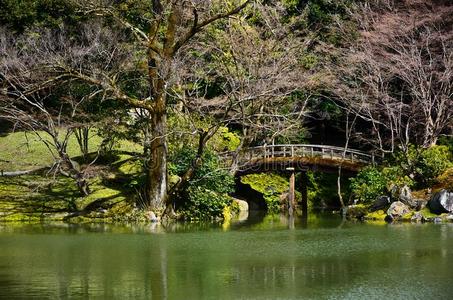 日本人花园和木制的桥,春季采用黑色亮漆.