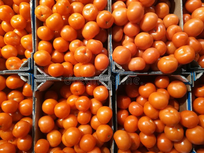 红色的番茄采用尤指装食品或液体的)硬纸盒盒