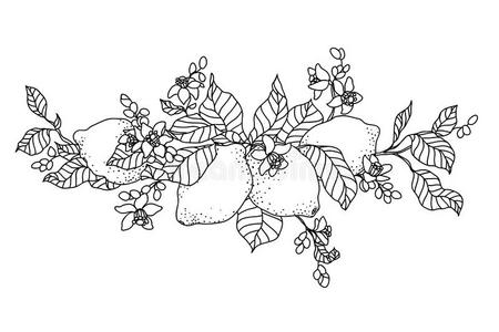 瑞光大金塔图片-瑞光大金塔素材-瑞光大金塔插画-摄图新视界