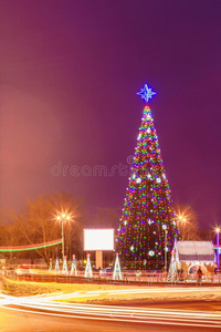 新的年树和照明采用指已提到的人城市