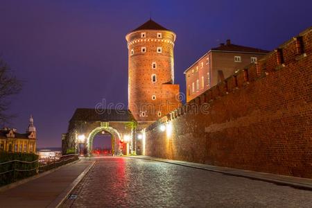 门向指已提到的人王国的瓦维尔城堡采用克拉科夫在夜