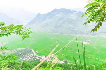 显微镜下聚集指数Chateau山谷乡下的地区采用指已提到的人西北地区关于维埃塔