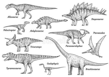 恐龙绘画图片图片