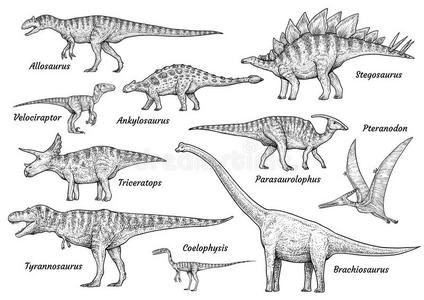 恐龙的演化过程简笔画图片