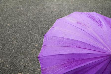 雨伞紫色的向路和雨落下和复制品空间为增加全音节的第七音