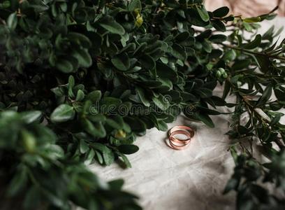 婚礼.婚礼戒指向牛皮纸Bumacov和绿色的多叶的植物.